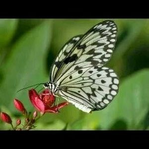 Meet your Posher, Ana